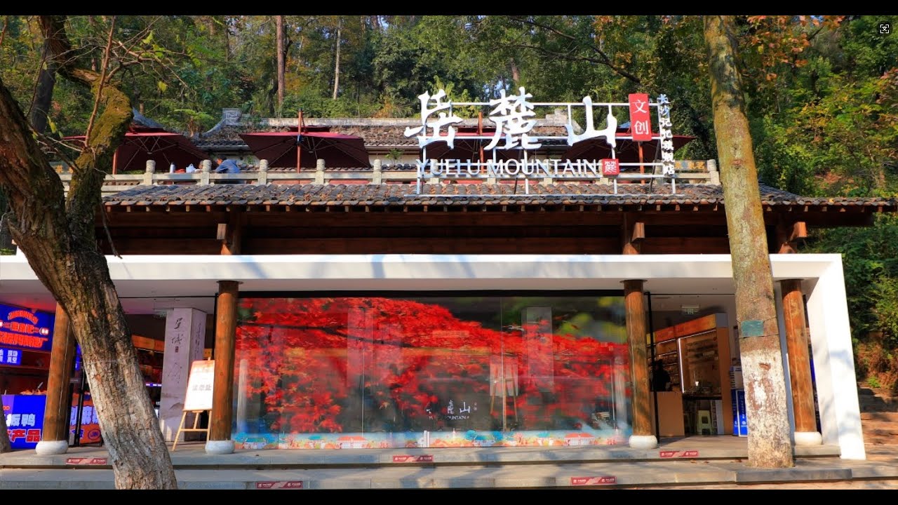 Red leaves are like fire, blooming in the sky  Transparent aesthetics reflect the red leaves