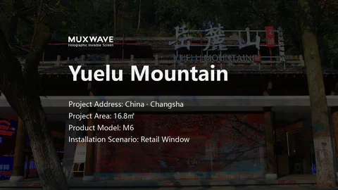 okyuelushan led screen