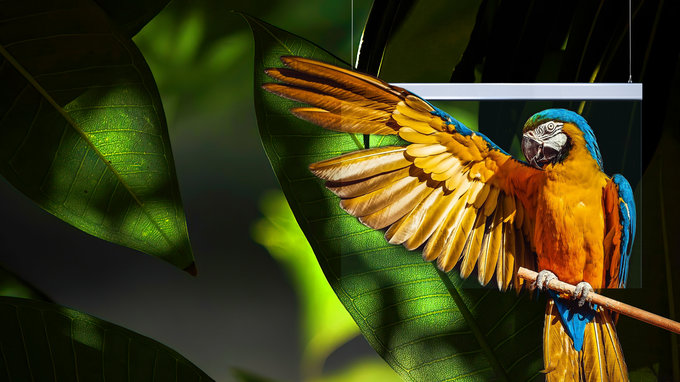 3-Pシリーズ-LEDポスター 3 PシリーズLEDポスター2