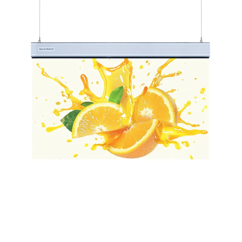 P Series - LED Poster 2 led poster screen 1